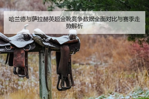 哈兰德与萨拉赫英超金靴竞争数据全面对比与赛季走势解析